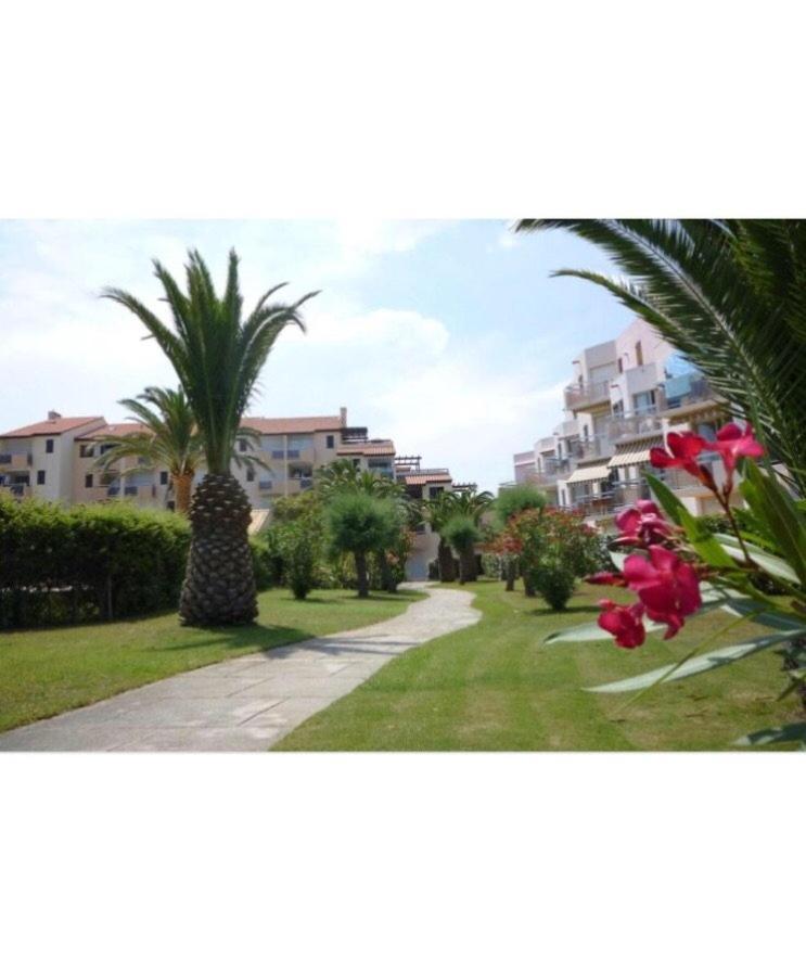 Apartmán Rez De Jardin + Terrasse Piscine Et Acces Direct Plage Saint-Cyprien  Exteriér fotografie